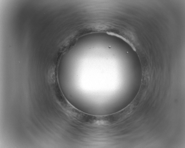 X0000069360360200605150922