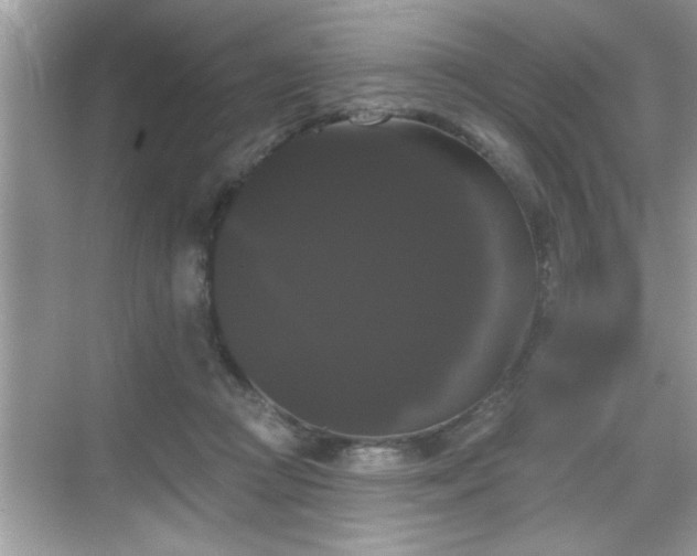 X0000069360361200605150922