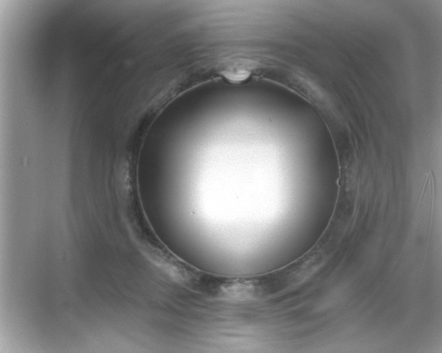 X0000069360362200605150922