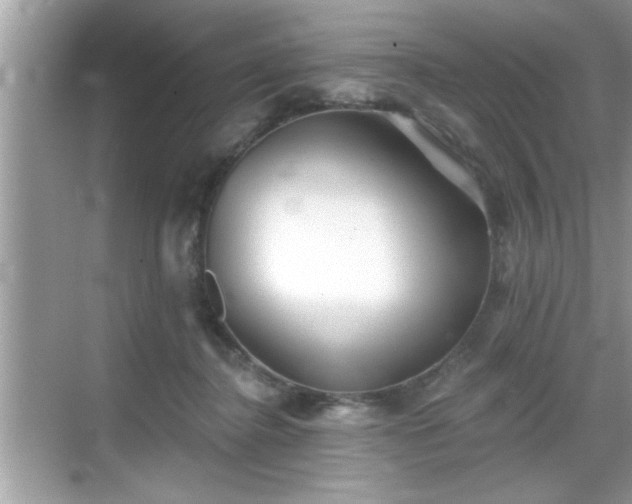 X0000069360364200605150922