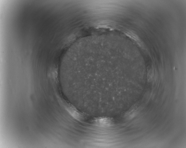 X0000069360365200605150922