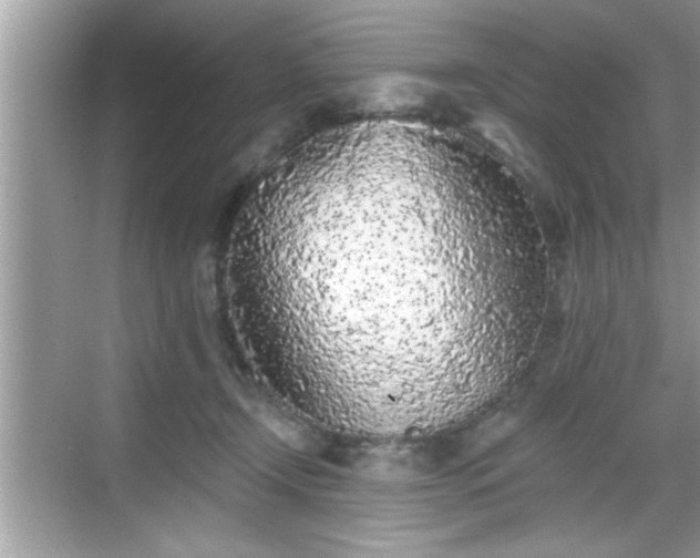 X0000069360366200605150922