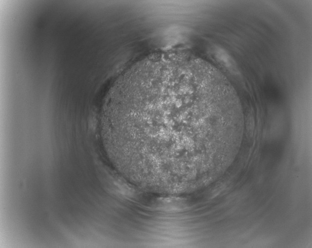 X0000069360367200605150922