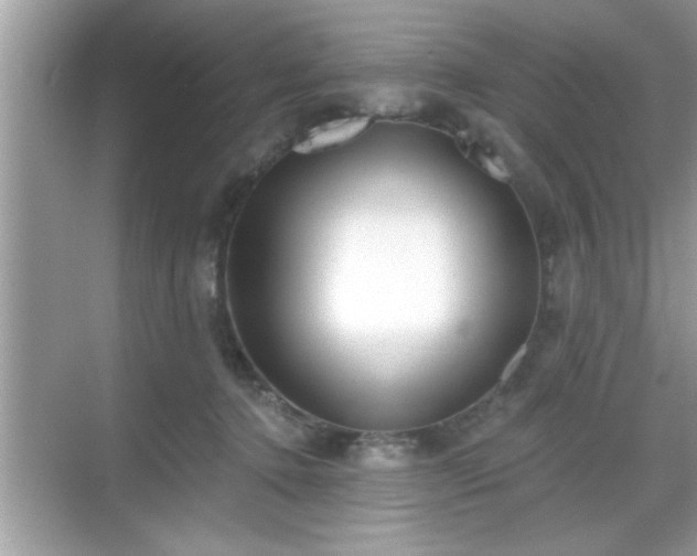 X0000069360368200605150922