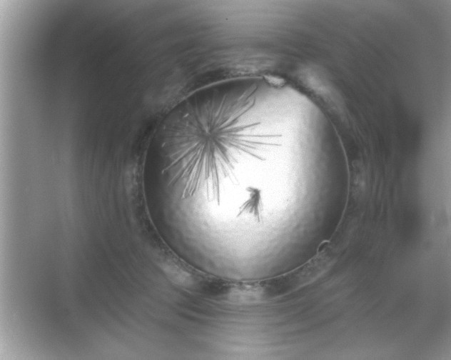 X0000069360369200605150922