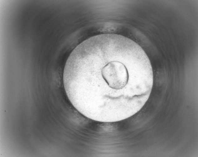 X0000069360370200605150922