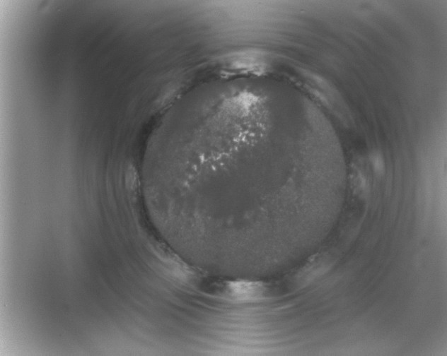 X0000069360371200605150922