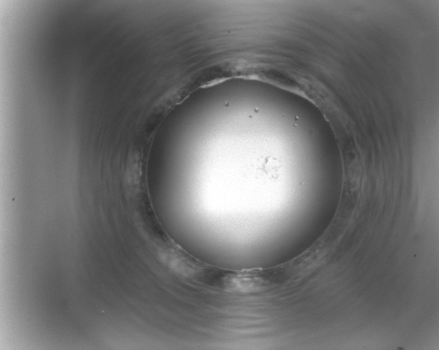 X0000069360372200605150923