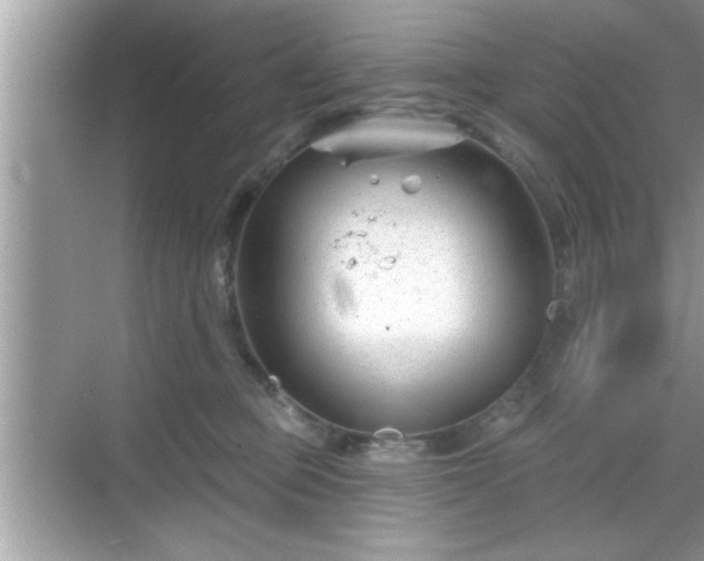 X0000069360373200605150923