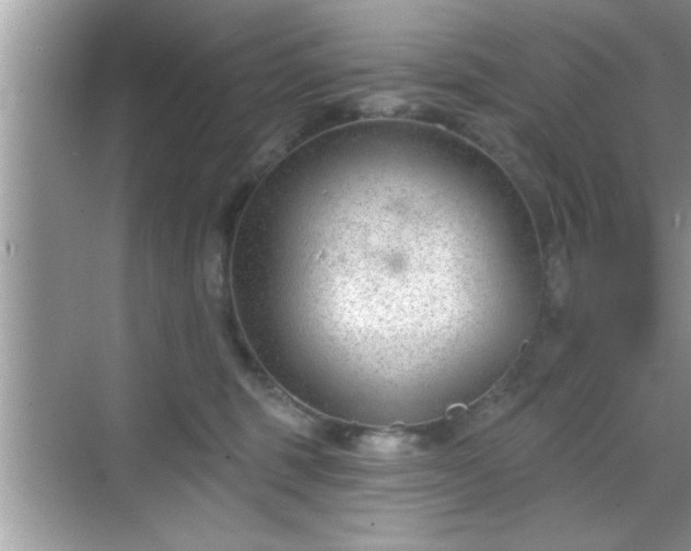 X0000069360375200605150923