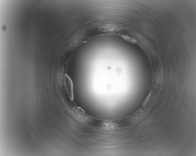 X0000069360376200605150923