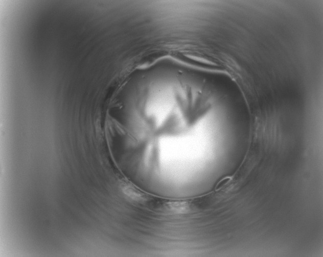 X0000069360377200605150923