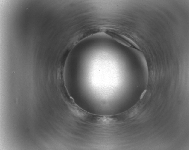 X0000069360379200605150923