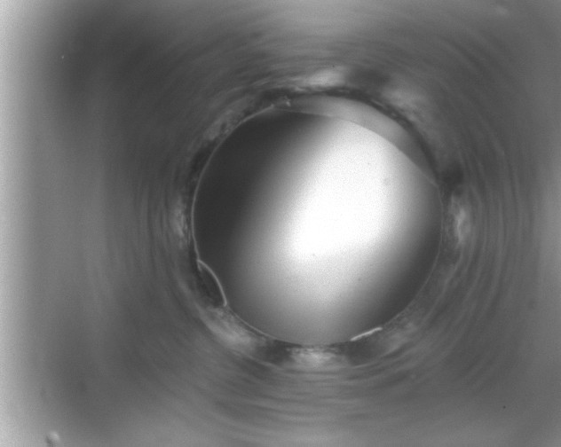 X0000069360380200605150923