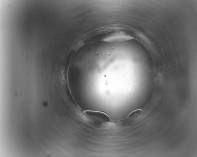 X0000069360381200605150923