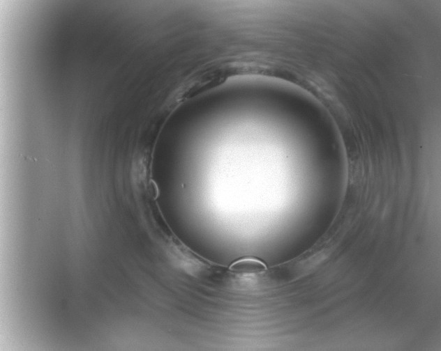 X0000069360382200605150923