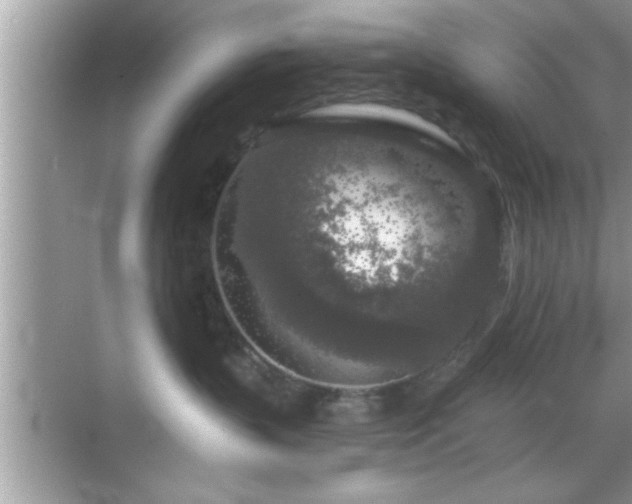 X0000069360383200605150923