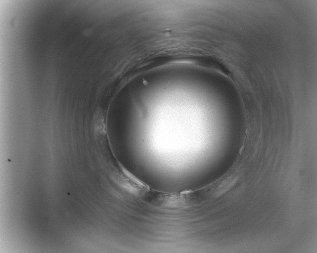 X0000069360384200605150923