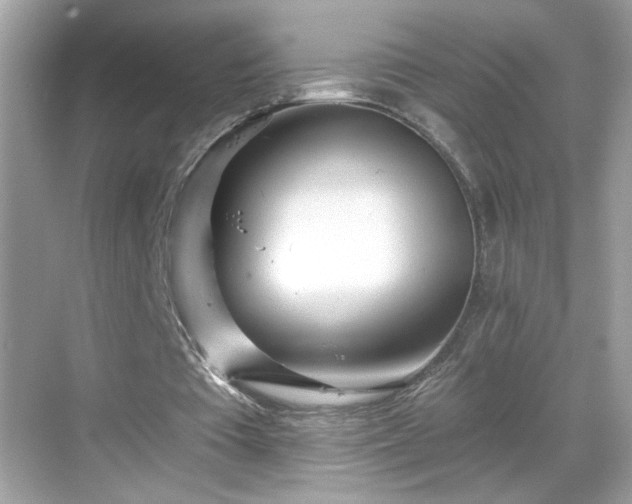 X0000069360385200605150922