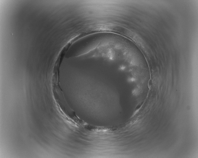 X0000069360386200605150922