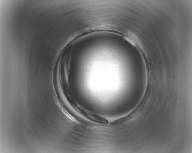 X0000069360389200605150922