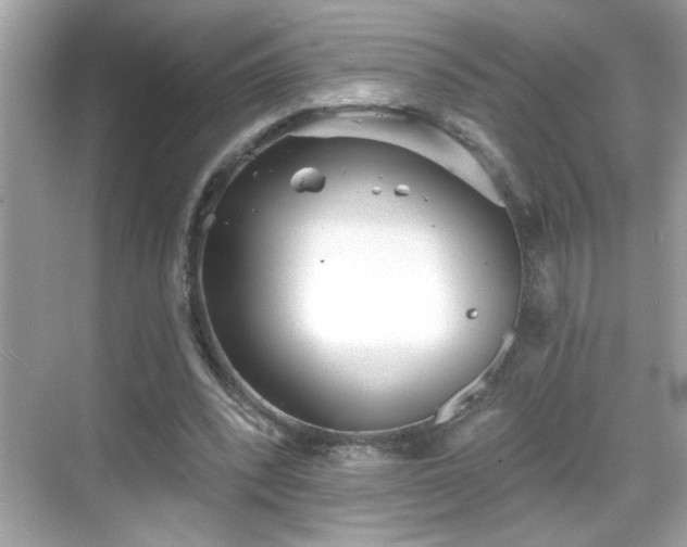 X0000069360392200605150922