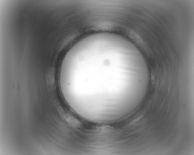 X0000069360396200605150922