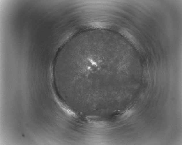 X0000069360398200605150922