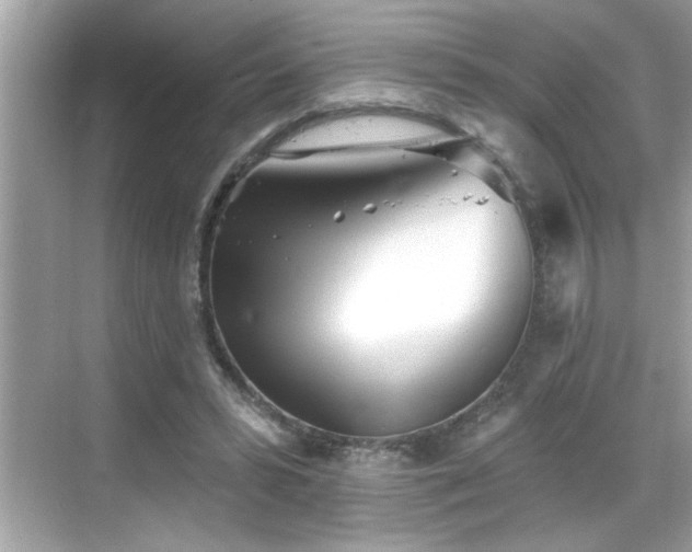 X0000069360399200605150922