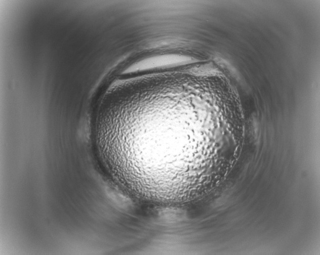 X0000069360400200605150922