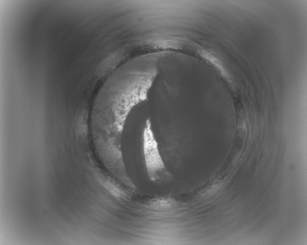 X0000069360402200605150922