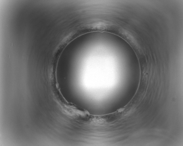 X0000069360403200605150922