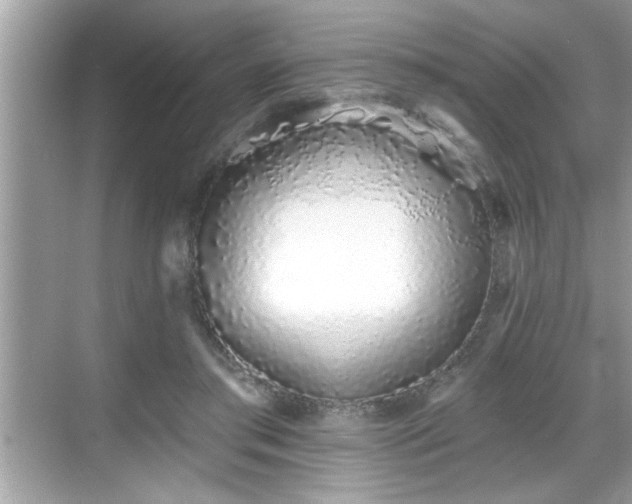 X0000069360405200605150922