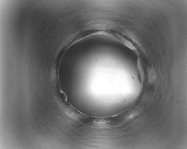 X0000069360407200605150922