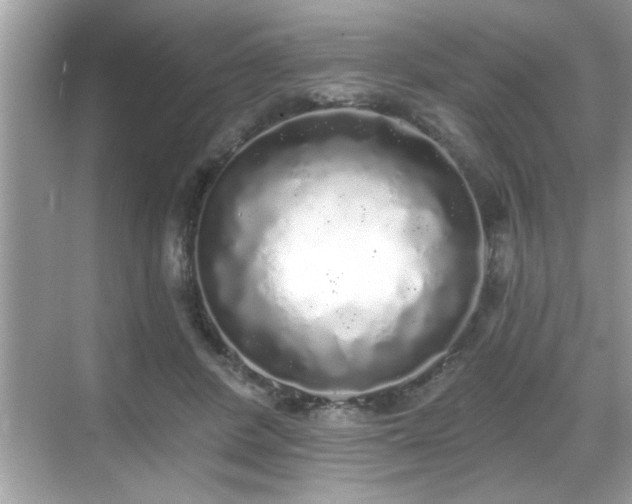 X0000069360408200605150922