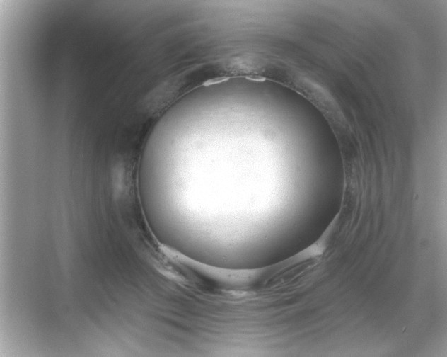 X0000069360409200605150922