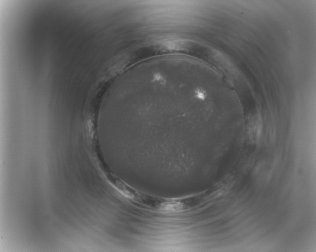 X0000069360410200605150921