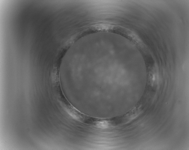 X0000069360411200605150921