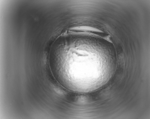 X0000069360412200605150921