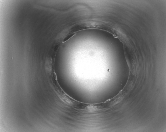 X0000069360413200605150921