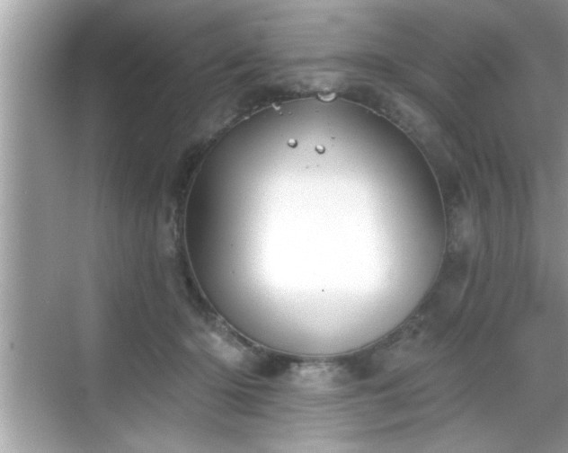 X0000069360414200605150921