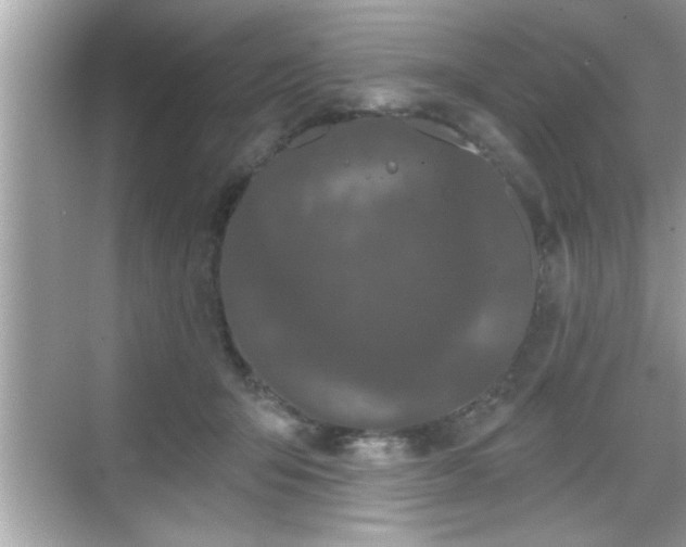 X0000069360415200605150921