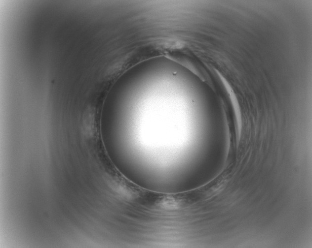 X0000069360416200605150921