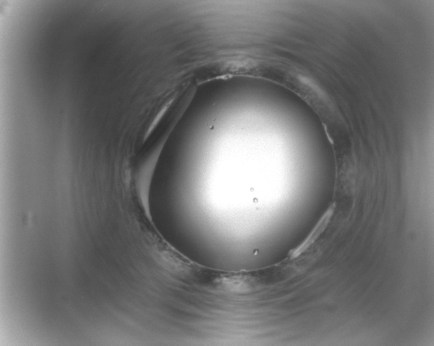 X0000069360417200605150921