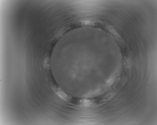 X0000069360419200605150921