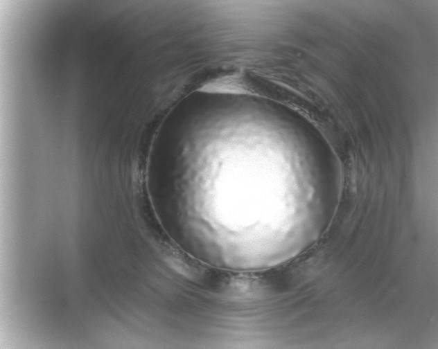 X0000069360420200605150921