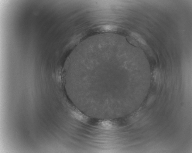 X0000069360423200605150921