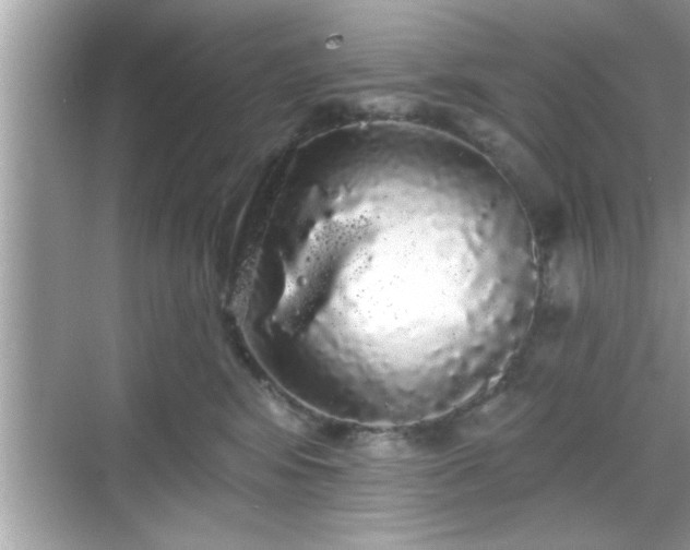 X0000069360424200605150921