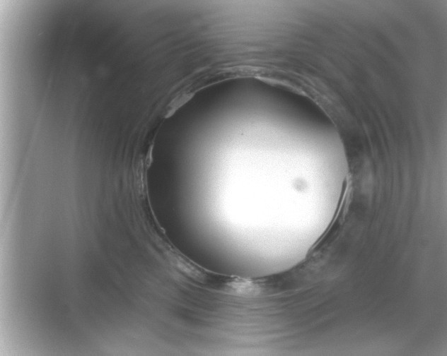 X0000069360425200605150921