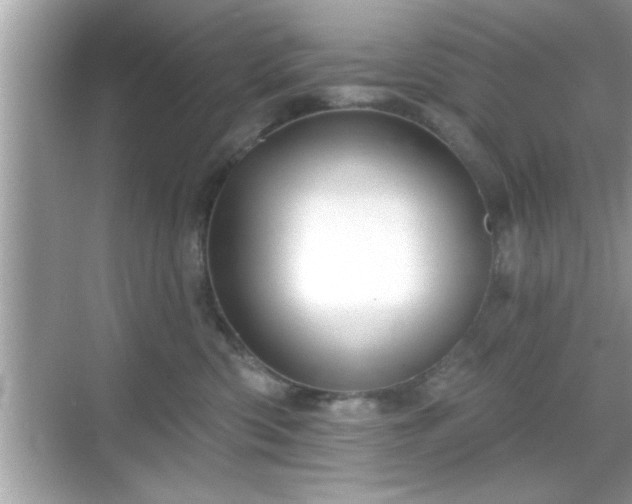 X0000069360426200605150921